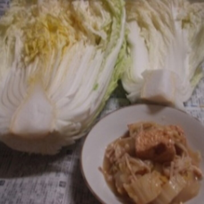 白菜の美味しい食べ方と保存 レシピ 作り方 By ミルミント 楽天レシピ 白菜の美味しい食べ方と保存 レシピ 作り方 By ミルミント 楽天レシピ